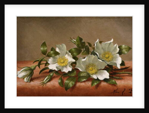 Cherokee Roses, 1889 by Martin Johnson Heade
