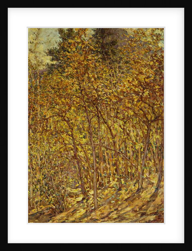 Autumn Sunlight by Robert Reid