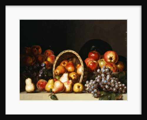 Apples, Pears, Plums and Grapes by Charles Bird King