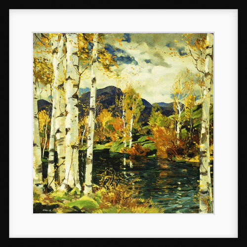 Birches by Jonas Lie