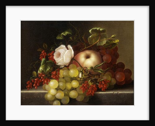 Still Life with Peach, Grapes and Rosehips, 1865 by Adelheid Dietrich
