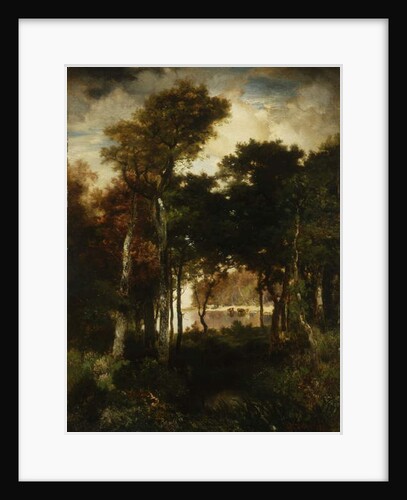 Woods by a River, 1886 by Thomas Moran