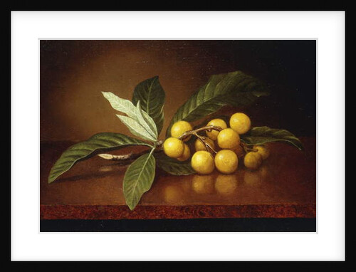 Tropical Plums by Martin Johnson Heade