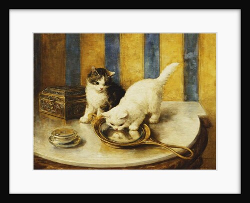 Feline Reflections by Marie Yvonne Laur