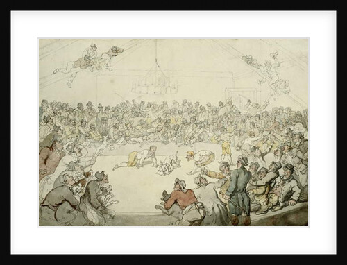 The Westminster Pitt, 1798 by Thomas Rowlandson