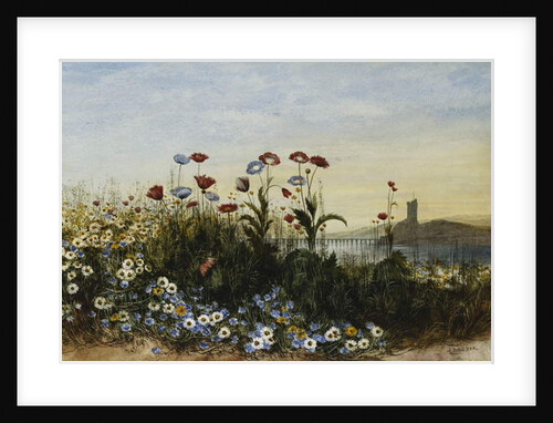 Ferry Carrig Castle, Co. Wexford, Seen Through a Bank of Wild Flowers by Andrew Nicholl