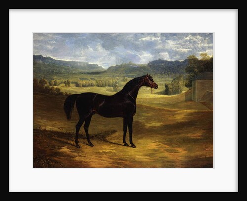 Jack Spigot, a Dark Bay Racehorse in a Paddock at Bolton Hall, 1824 by John Frederick Herring Snr