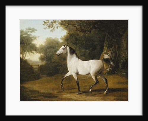 A Grey Arab Stallion in a Wooded Landscape by Jacques-Laurent Agasse