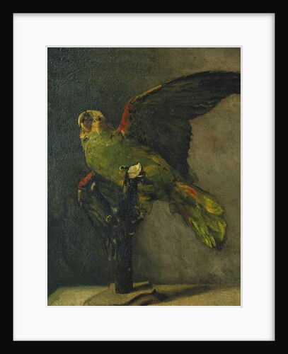 The Green Parrot; Le Perroquet Vert, 1885 by Vincent van Gogh