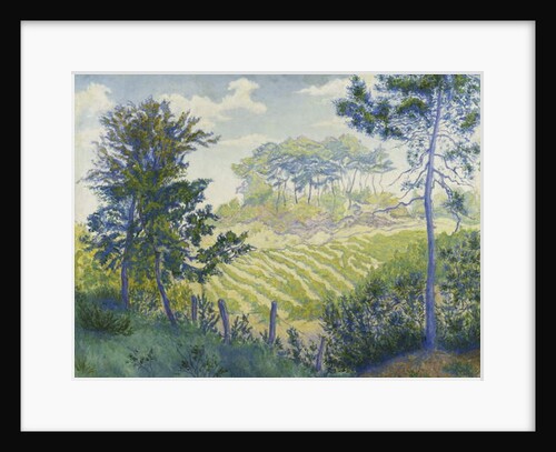 Vineyards Under the Pines; Les Vignobles sous les Pins, c. 1898 by Paul Ranson