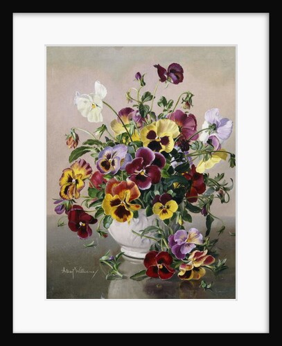 A Still Life with Pansies by Albert Williams