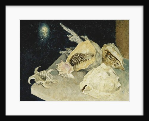 Shells by Glyn Warren Philpot