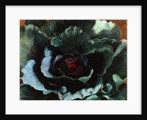 Cabbage, 1956 by Cedric Morris