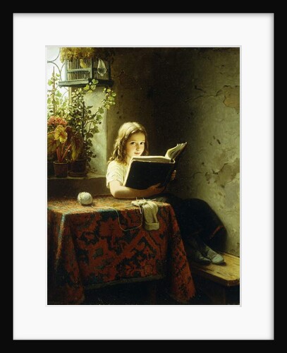 A Girl Reading; Das Lesende Madchen, 1871 by Johann Georg Meyer