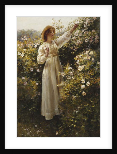 Wild Rose, 1908 by Robert Payton Reid