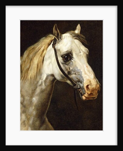 Head of a Piebald Horse by Theodore Gericault