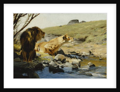 A Lion and Lioness at a Stream by Wilhelm Kuhnert