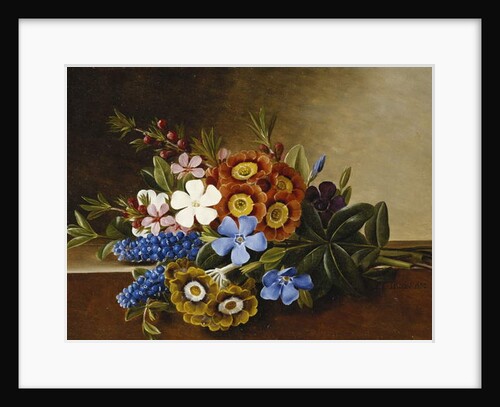 Periwinkle, Auricula and Grape Hyacinths on a Marble Ledge, 1882 by Johan Laurents Jensen