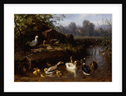 Ducks and Ducklings in a Stream by Carl Jutz