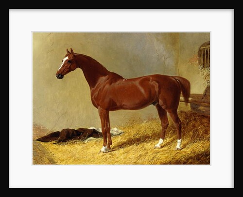 A Bay Racehorse in a Stall, 1843 by John Frederick Herring Snr