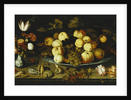 Fruit on a Dish, Flowers in a Wanli Kraak Porselein Vase, Sprigs of Cherries and Redcurrants, Seashells, a Rose, a Tulip, a Pink, a Lizard, a Snail and a Red Admiral on a Stone Ledge, Dragonflies Above by Balthasar van der Ast