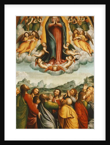 The Assumption of the Virgin by Bernardino Ferrari