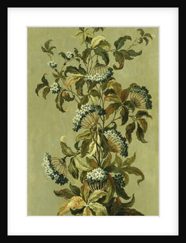 Decorative Panels with Flowers by Jean Baptiste Pillement