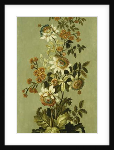 Decorative Panels with Flowers by Jean Baptiste Pillement