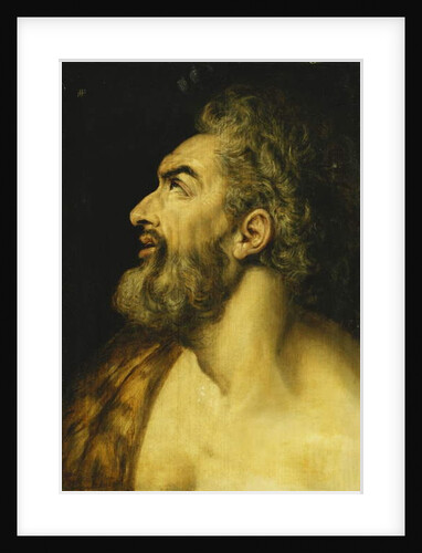 Head of Saint John the Baptist by Frans Floris