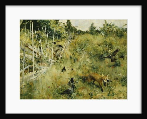 A Fox Taking a Crow; Rav Och Krakor, 1884 by Bruno Andreas Liljefors
