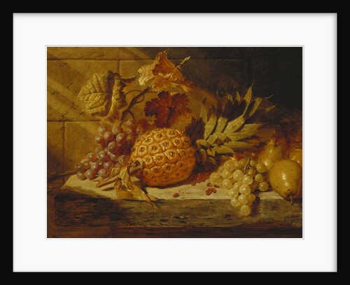 Black and White Grapes, Pears, Redcurrants and a Pineapple on a Ledge, 1845 by George Lance