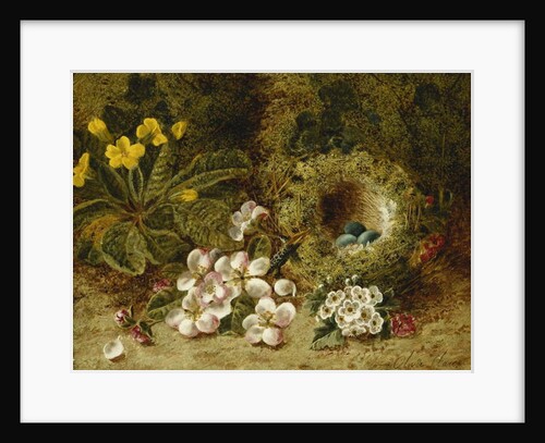 Apple Blossoms, a Primrose and Birds Nest on a Mossy Bank by Oliver Clare