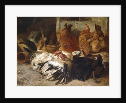 A Silver-Grey Rosecomb Cock and a White-Crested Black Poland with Two Buff Hens by Henry Weekes