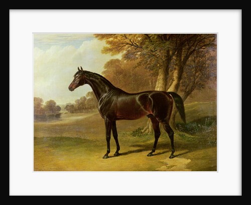 Glaucus by John Frederick Herring Snr