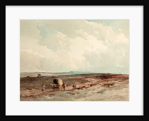 On Ashdown Forest Reserve, 1925 by Charles Harrington