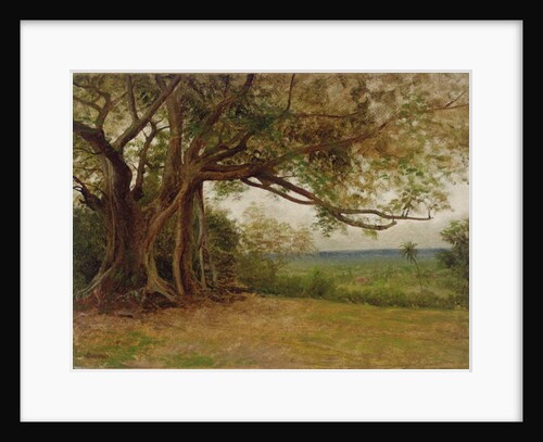 Study for 'The Landing of Columbus', 1892 by Albert Bierstadt