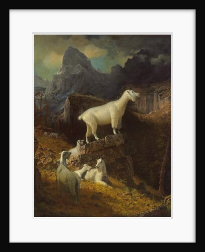 Untitled by Albert Bierstadt