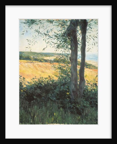By the Sea, Normandy, 1884 by Gustave Caillebotte