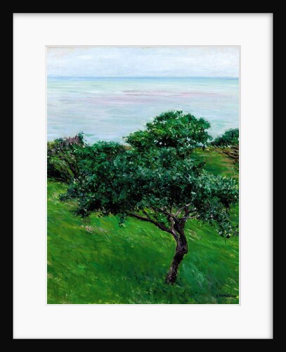 Apple Trees by the Sea, Trouville, 1880 by Gustave Caillebotte