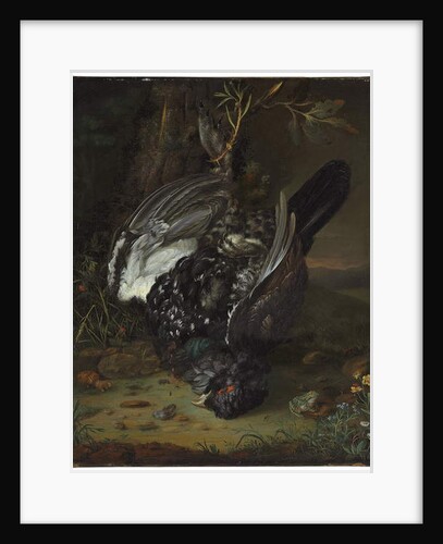 A blackcock in a wooded landscape, 1747 by Johann Friedrich von Grooth