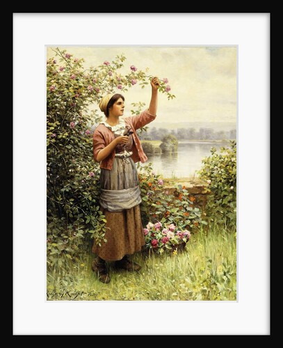 Cutting Roses Along the Seine by Daniel Ridgway Knight