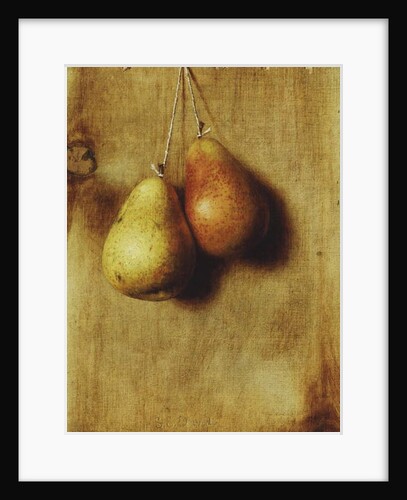 Hanging Pears by Stanley S. David