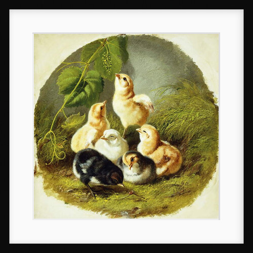 Chicks, 1863 by Arthur Fitzwilliam Tait
