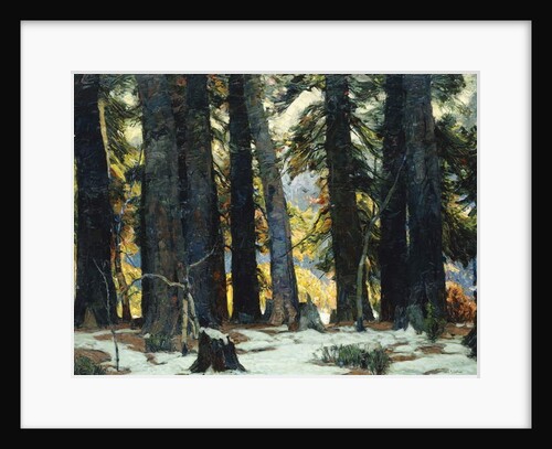 The Sanctuary by John Fabian Carlson