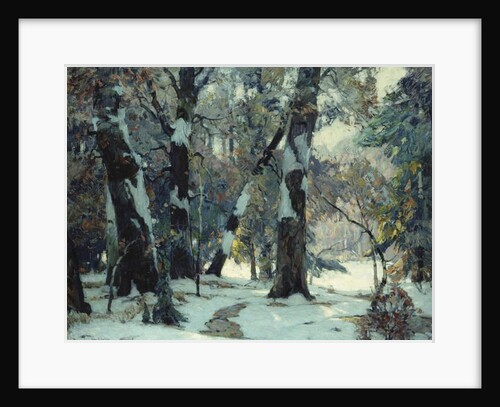 Silent Places by John Fabian Carlson