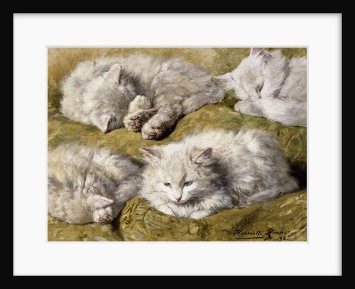 Studies of a Long-haired White Cat, 1896 by Henriette Ronner-Knip