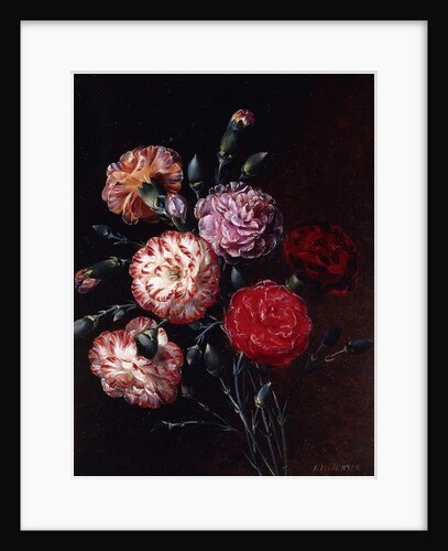 Carnations by Johan Laurents Jensen