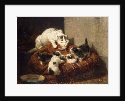 A Feathered Gift by Henriette Ronner-Knip
