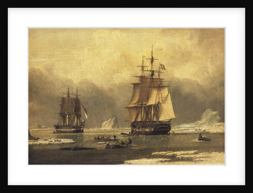 The 'Swan' and 'Isabella' Whaling in the Arctic by John of Hull Ward