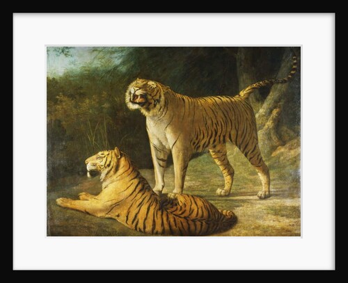 A Tiger and Tigress at the Exeter 'Change Menagerie in 1808, 1808 by Jacques-Laurent Agasse